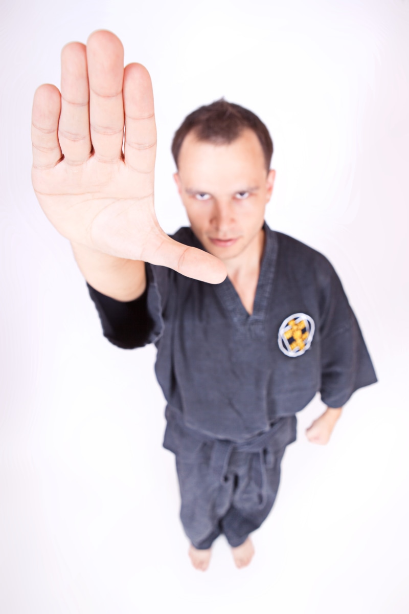 communication, karate, martial, fighter, cut out, hand, kungfu, con2011, looking at camera, portrait, person, white background, gesturing, indoors, fight