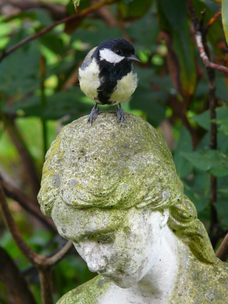 day, cheeky, focus on foreground, 2K, sit, animals in the wild, sculpture, wildlife, statue, madonna, woman, animal wildlife, one animal, no people, animal