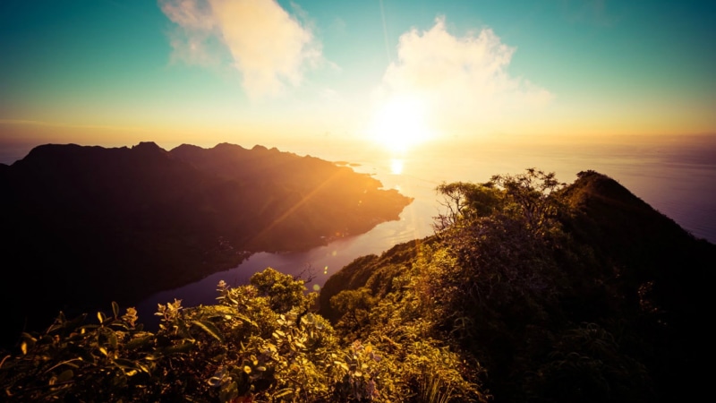 plant, blue, no people, idyllic, sun, sunset, tree, silhouette, tranquil scene, lens flare, environment, 1080P, sky, scenics - nature, orange color, mountain