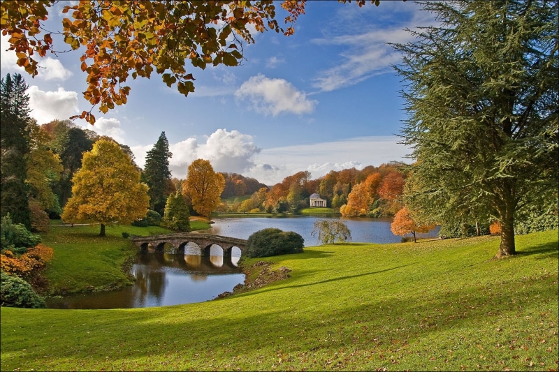 bridge, autumn, landscape, green Color, woodland, nature, beauty In Nature, no People, Park, scenics, blue, trees, tranquility, non-Urban Scene, park - Man Made Space