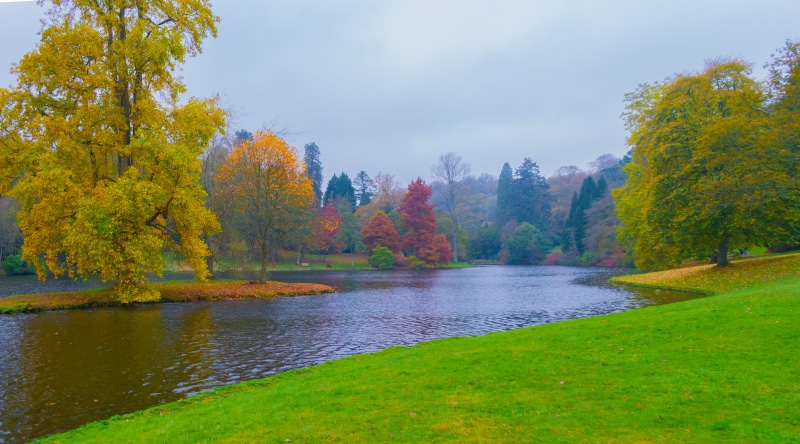 canada, 5K, river  stour, season, water, source, wiltshire  south west, Lake, beauty In Nature, photo, nikon  d3200, autumn, Stourhead Estate, tree, forest