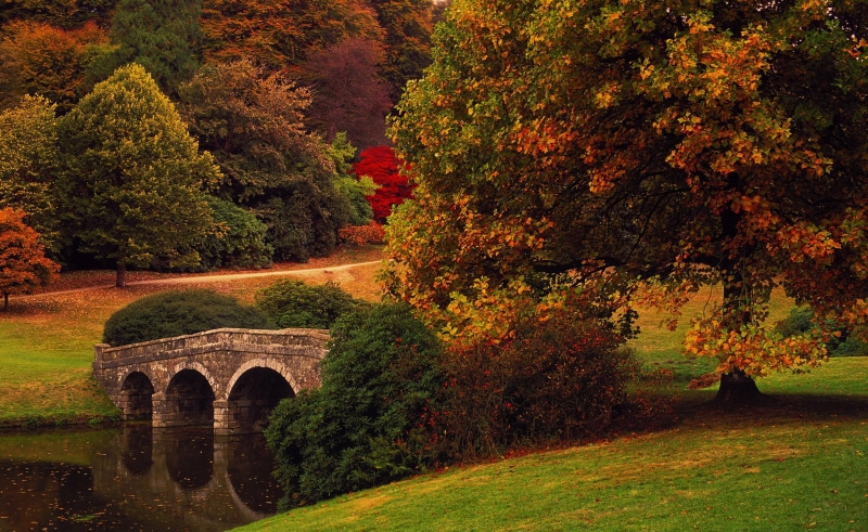 trees, bridge, Park, 2K, Wiltshire, autumn, England