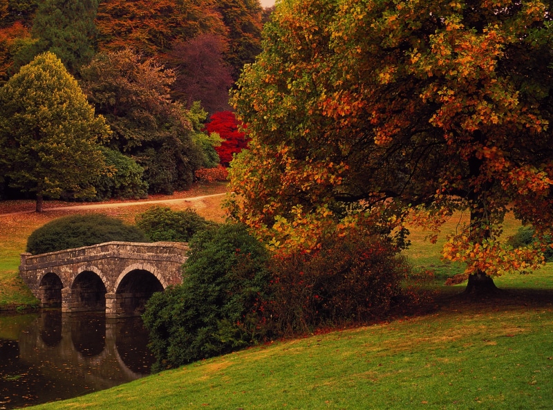 Lake, Henry, tree, hoare, om4ti, no people, grotto, wiltshire, Autumnal, Color, Water, Fall, elitechrome, tranquility, Season, England, olympus, built structure