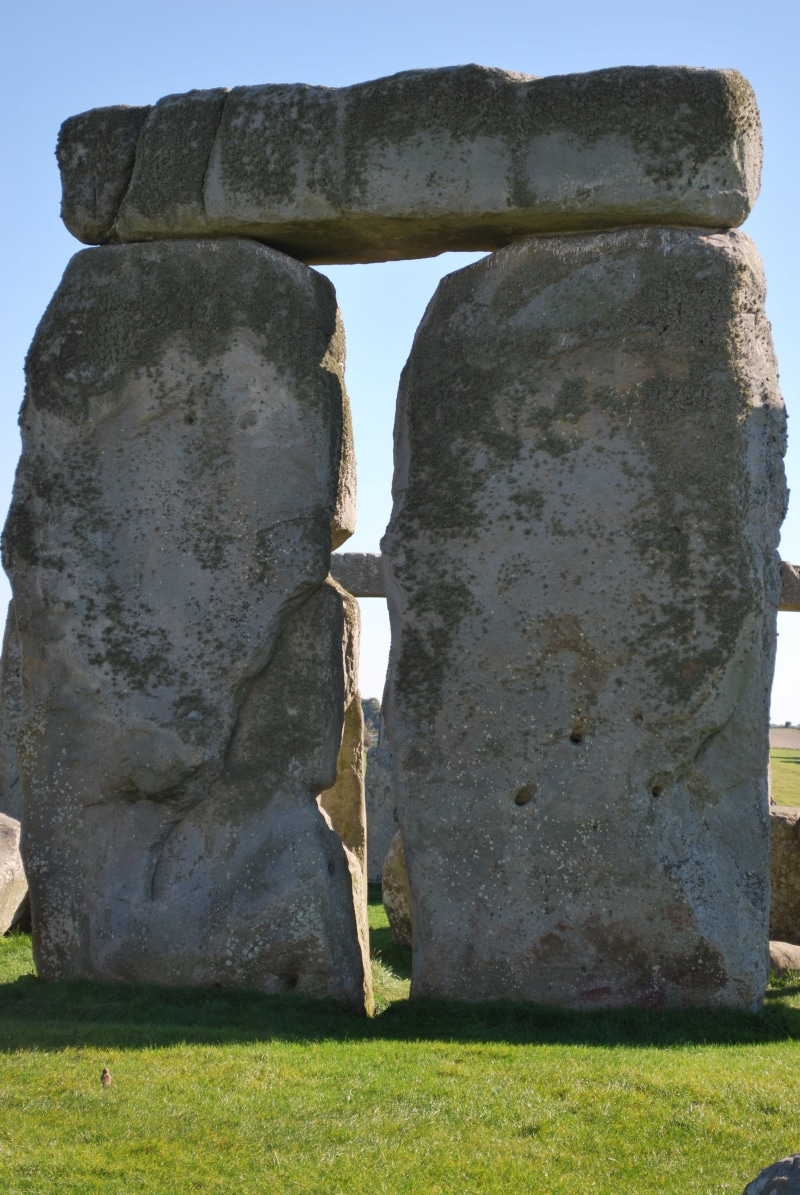 stone henge, icon, mystical, history, nature, the past, stone, architecture, 4K, standing stones, wiltshire, solid, outdoors, plant, land, built structure