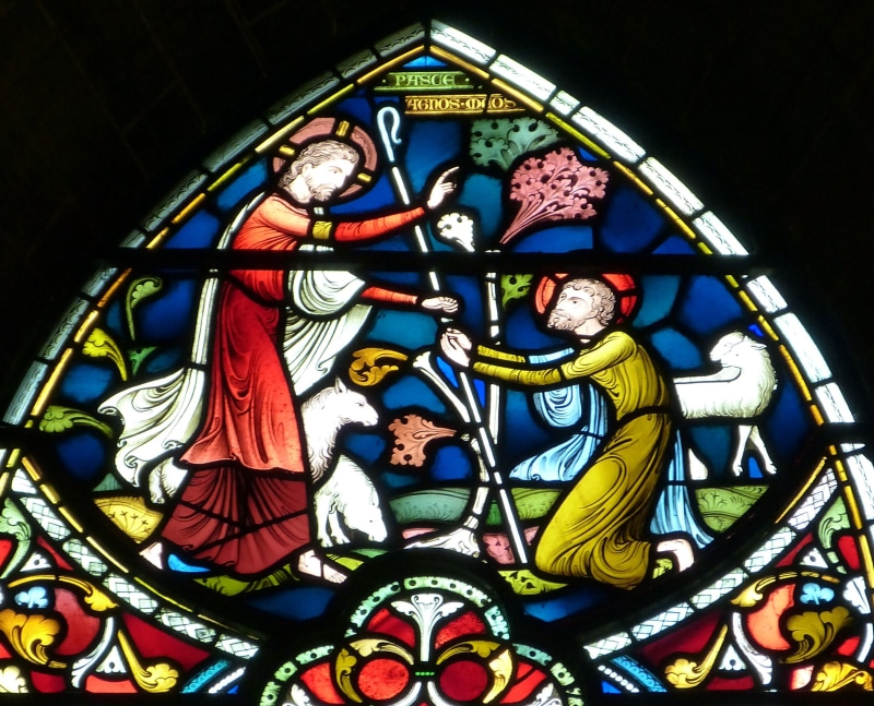 building, church window, ornate, human representation, historically, spirituality, 2K, bible, sheep, jesus, creativity, salisbury, no people, window, belief