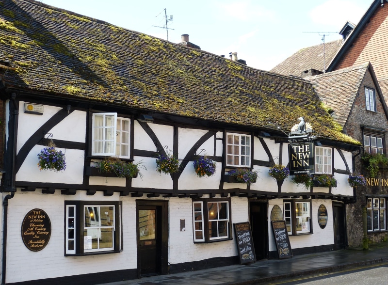 built structure, architecture, hanging, city, old town, growth, tree, low angle view, nature, window, belief, roof tile, no people, 2K, pub, fachwerkhaus