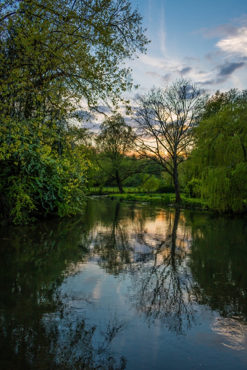 reflection, non-urban scene, salisbury, forest, sky, outdoors, day, water, no people, tree, waterfront, reflection lake, england, tranquility, river, growth