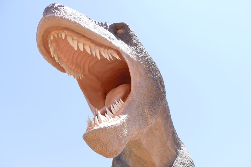 creature, nature, extinct, ancient, predator, clear sky, animal representation, animal teeth, prehistoric, teeth, animal, era, tyrannosaur, one animal