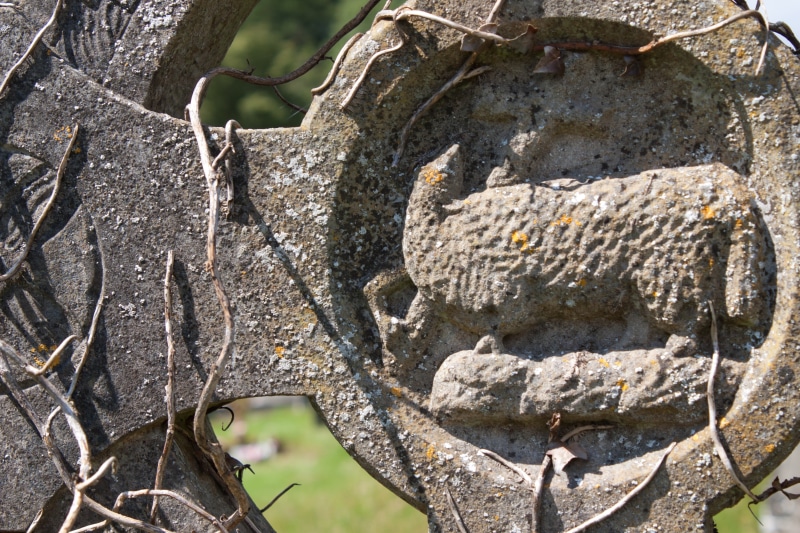 nature, irish, old, animals in the wild, christianity, animal, christian, vertebrate, grave, trunk, religion, tree trunk, celtic, religious, ancient, lichen