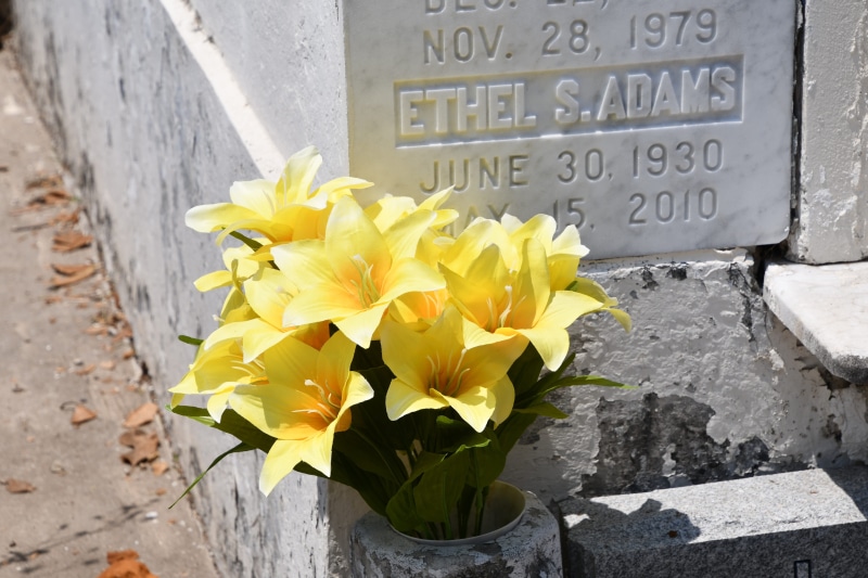5K, flower pot, flower, new orleans, architecture, no people, inflorescence, condolence, memory, text, freshness, beauty in nature, death, remembrance