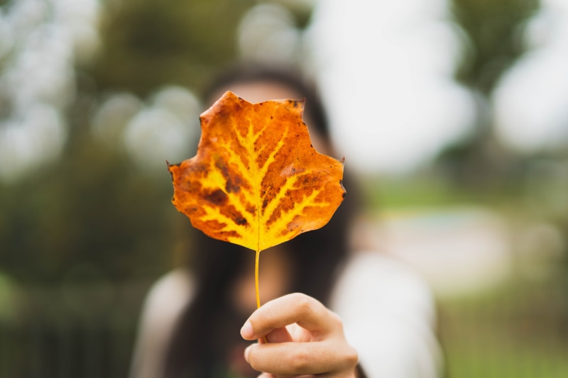close-up, 5K, leisure activities, human body part, brown, leaf, united states, los angeles, finger, plant part, blossom, human limb, plant, change, outdoors