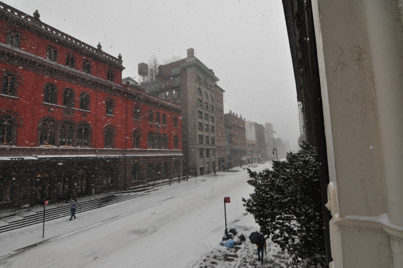 cold, snowing, architecture, city, window, snowfall, plant, built structure, lafayette, transportation, snow, cold temperature, day, incidental people