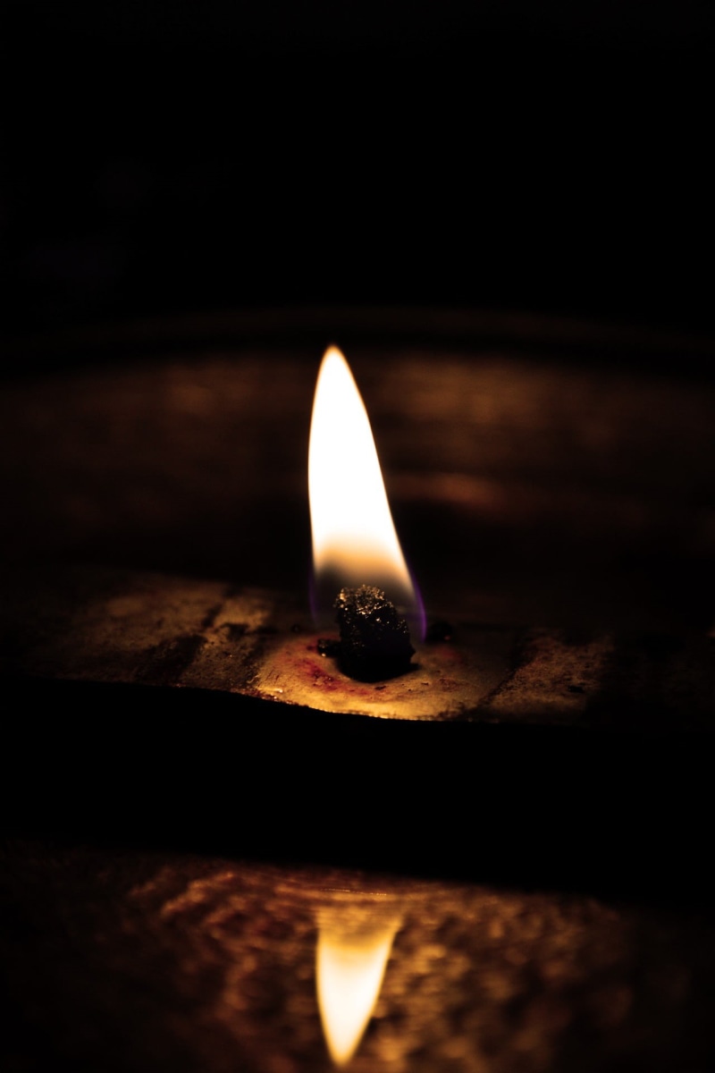 oil lamp, flame, nature, 1080P, night, wood - material, religion, mawanella, reflexion sri lanka, selective focus, temple lamp, oil, no people, ceylon
