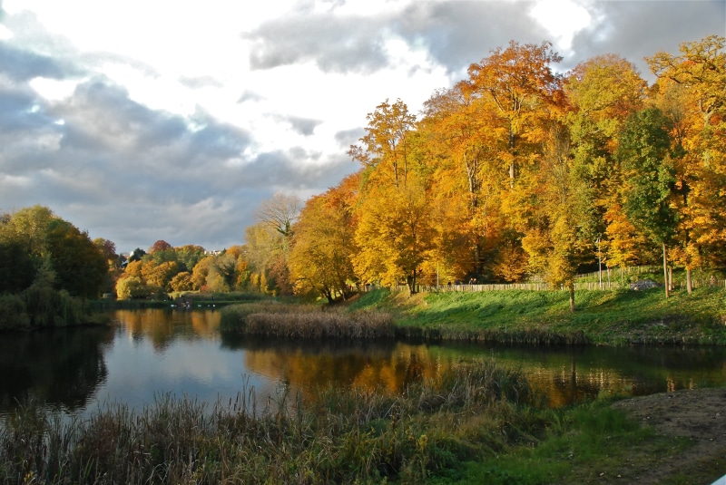 4K, Etangs, nature, domaine, leaf, trees, tree, river, et, october, autumn, forest, season, tall, yellow, Bruxelles, nature  Park, multi Colored, scenics