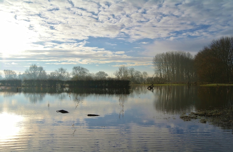outdoors, waterfront, sky, reflection, tranquility, quiet, reflexion, tranquil scene, vertebrate, 4K, lake, water, countryside, early morning, scenics - nature