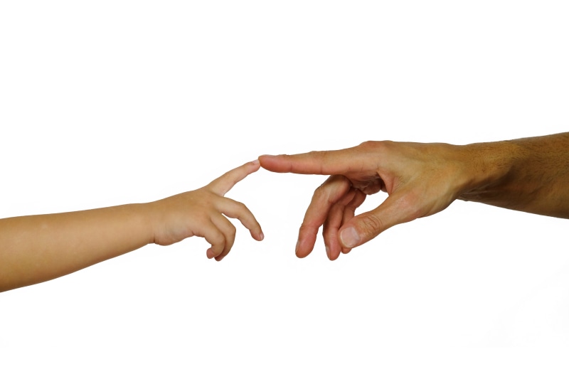 man, a helping hand, creation, people, adult, connectedness, human hand, human finger, limb, human limb, affection, cut out, positive emotion, two people