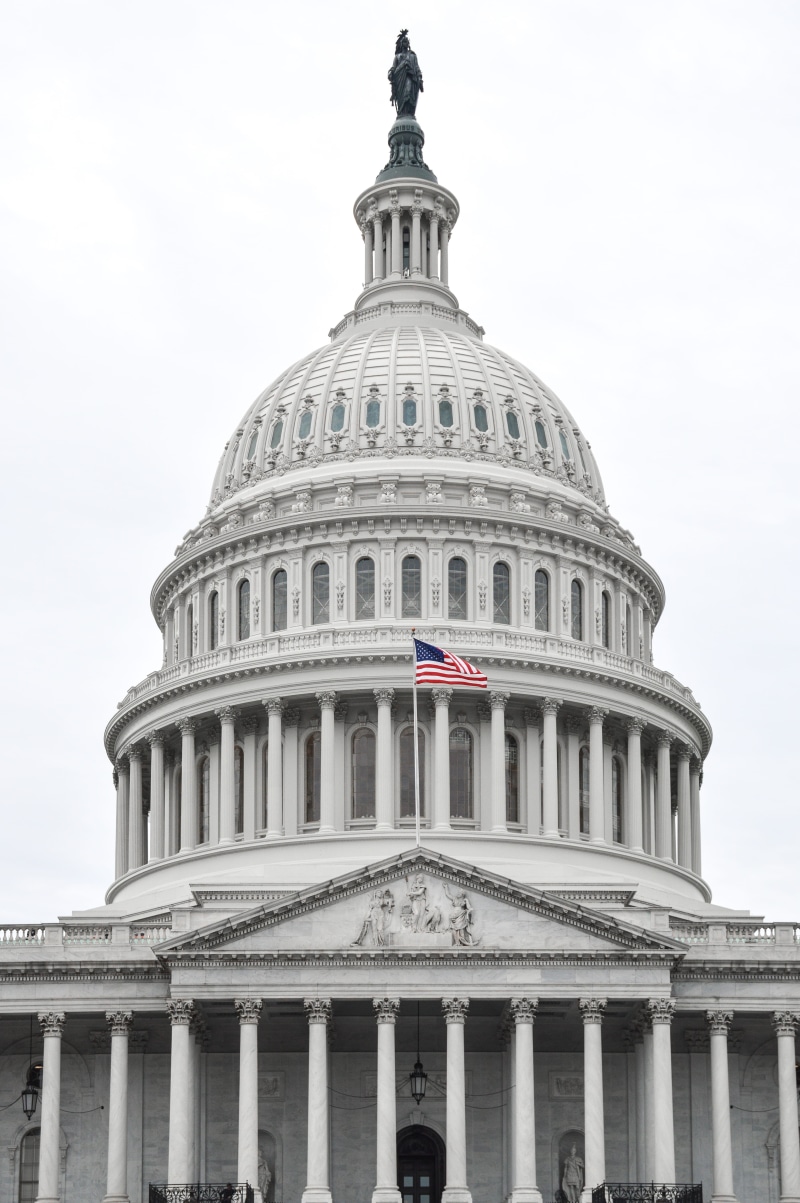 united states, built structure, day, building, statue, history, nature, flag, dc, patriotic, dome, capitol hill, colonnade, neo-classical, capitol, travel