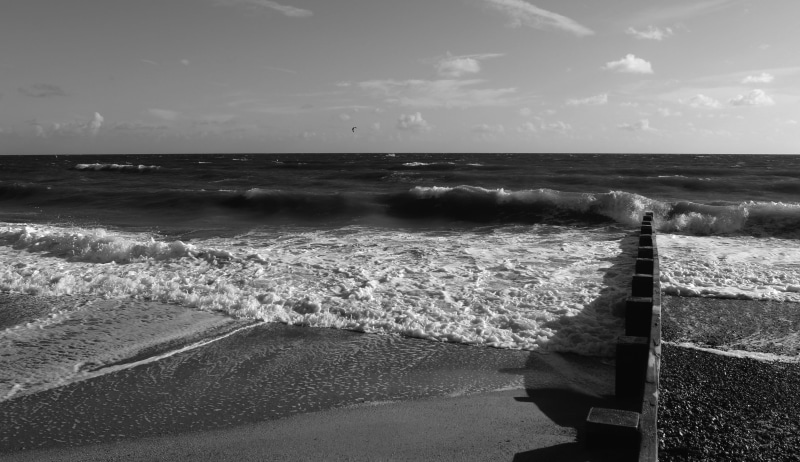 nature, sport, tranquil scene, beauty in nature, line, sketch, coloring, animal, symbol, sunlight, horizon, black, beach, land, outline, shape, day, fantasy
