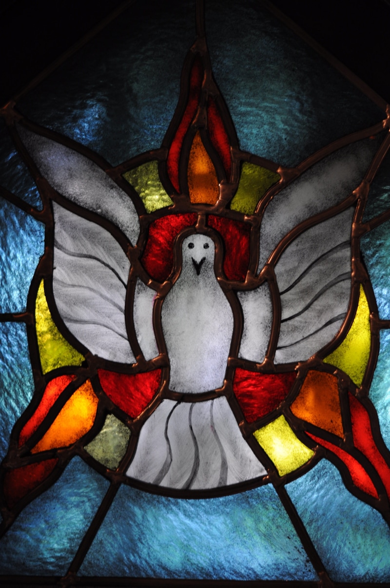 dove, male likeness, red, indoors, spirituality, church, stained glass, mural, female likeness, tiffany glass, human representation, place of worship, the holy spirit