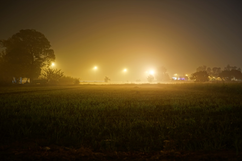 grass, 5K, foggy, highway, tranquil scene, weather, nature, growth, sky, field, crop, village, scenics - nature, tranquility, environment, night, orangeglow