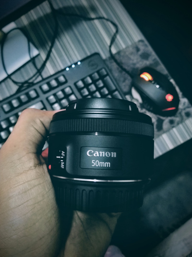 bokeh, human hand, unrecognizable person, beast, personal perspective, filter, dslr, holding, best, blur, portrait, camera - photographic equipment, technology