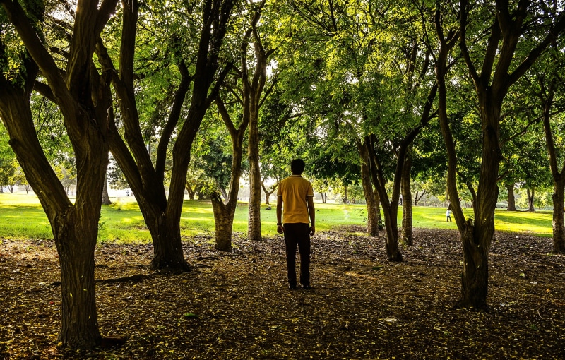 nature, field, beauty in nature, trunk, 2K, men, full length, growth, day, plant, lahore, lifestyles, real people, pakistan, rear view, outdoors, tree trunk