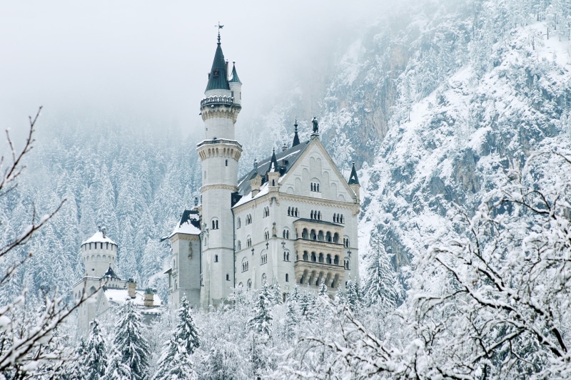 plant, snow, snowing, snowcapped mountain, ice, outdoors, clock, cold temperature, extreme weather, frozen, blizzard, winter, place of worship, tree, fog