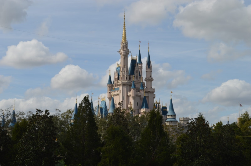place of worship, tree, building exterior, plant, religion, surrounded, tourism, cinderellas castle, cloud - sky, spire, castle, sky, spirituality, travel destinations