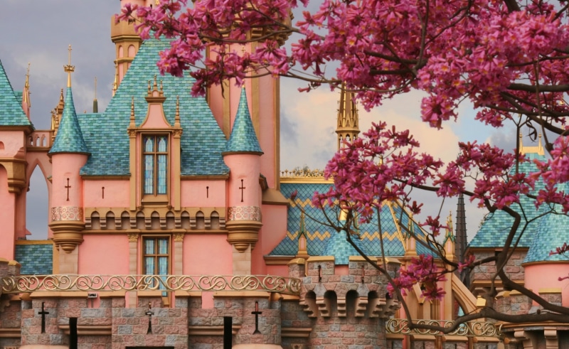 blue, outdoors, cinderella castle, springtime, cherry blossom, building exterior, beauty in nature, castle, pink color, growth, tree, no people, plant