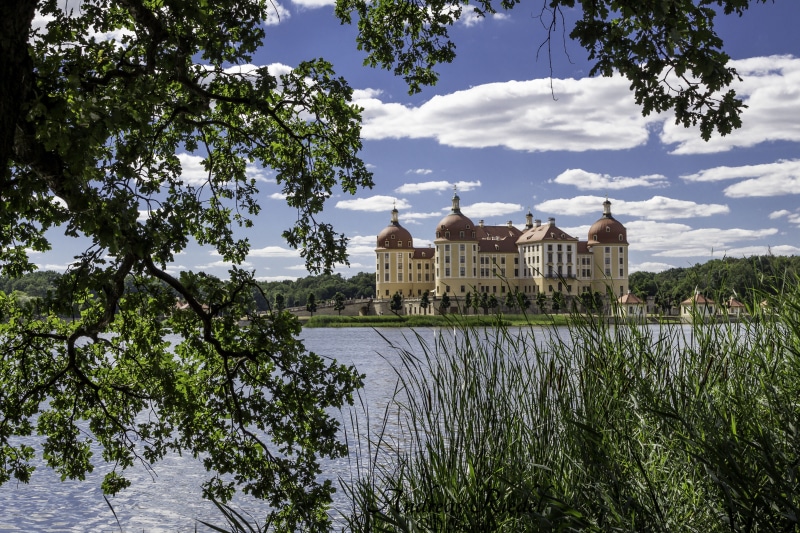 day, sky, built structure, growth, royal castle, dresden, building exterior, water, cloud - sky, no people, plant, nature, building, travel destinations