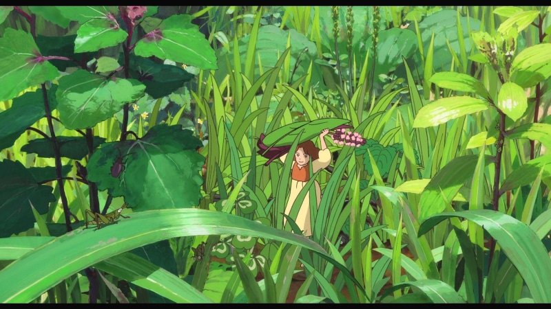 1080P, adventure, wind, anime, valley, fantasy, nausicaa