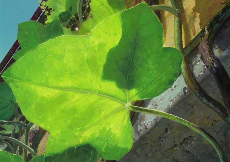 no people, nature, drop, Studio Ghibli, day, growth, beauty in nature, anime, leaves, Kari-gurashi no Arietti, 720P, close-up, tranquility, plant, plant part