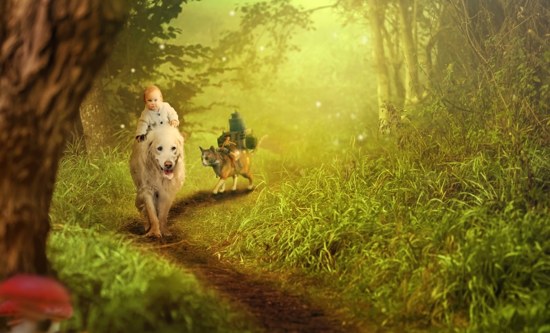 one animal, green color, friendship, land, dog, day, trees, fee, travel, more, ride, selective focus, vertebrate, running, child, fantasy, tree, glowworm