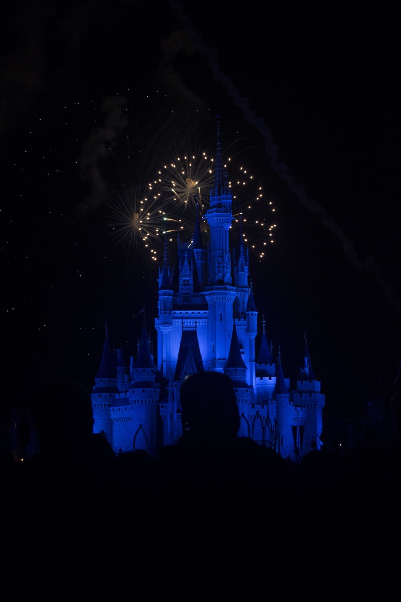 silhouette, city, orlando, firework display, event, night, architecture, exploding, motion, outdoors, built structure, building, magic kingdom drive, travel