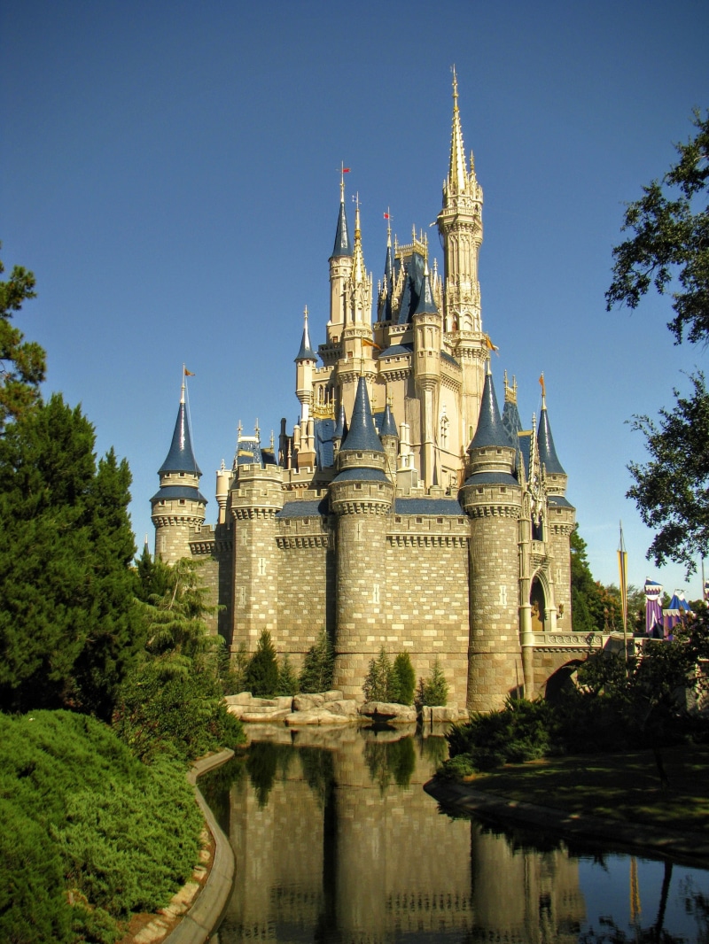 plant, Florida, disney, history, photos, building, public domain, outdoors, tree, spire, Magic Kingdom, place of worship, water, magic, built structure