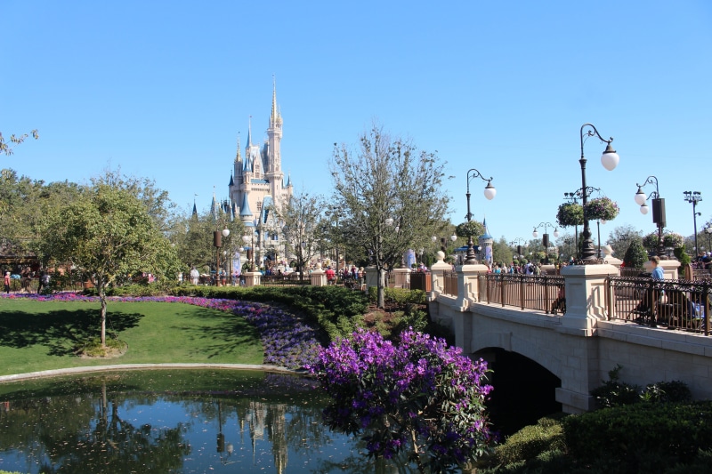 bridge, disney world, water, church, florida, architecture And Buildings, flowering plant, 5K, castle, city, building, white, architecture, outdoors, connection