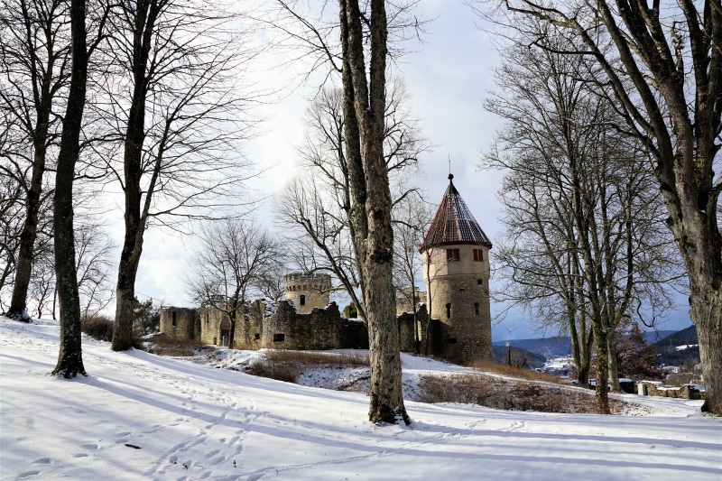 autumn, house, white, empire, covering, europe, possession, construction, snow, park, walk, tree, kingdom, tourism, center later, forest, belief, germany