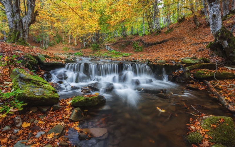 hd, desktop, mobile, autumn, forest, rivers, tablet, pylypets, zakarpattia, near, pc, ukraine, 4K, oblast