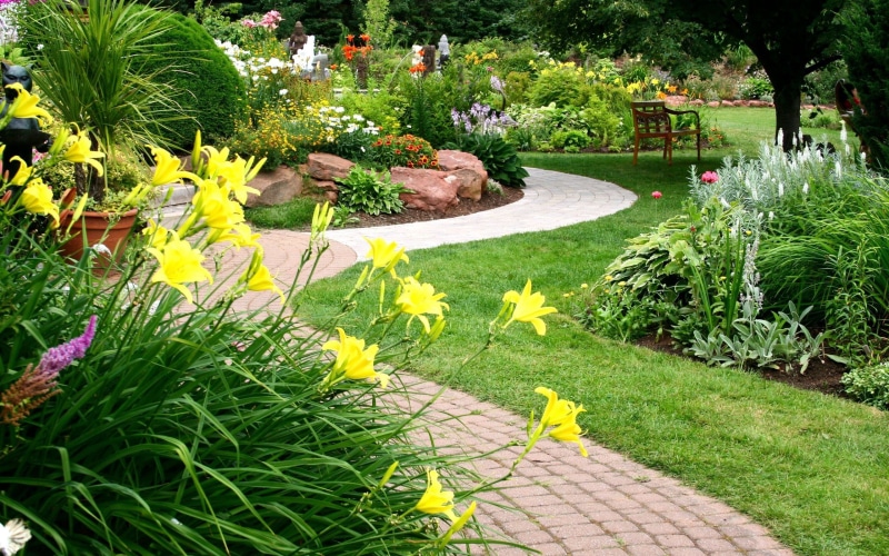 top, footpath, park - man made space, plant, day, flowering plant, freshness, flower, brown, ornamental garden, wooden, 2K, outdoors, formal garden, table