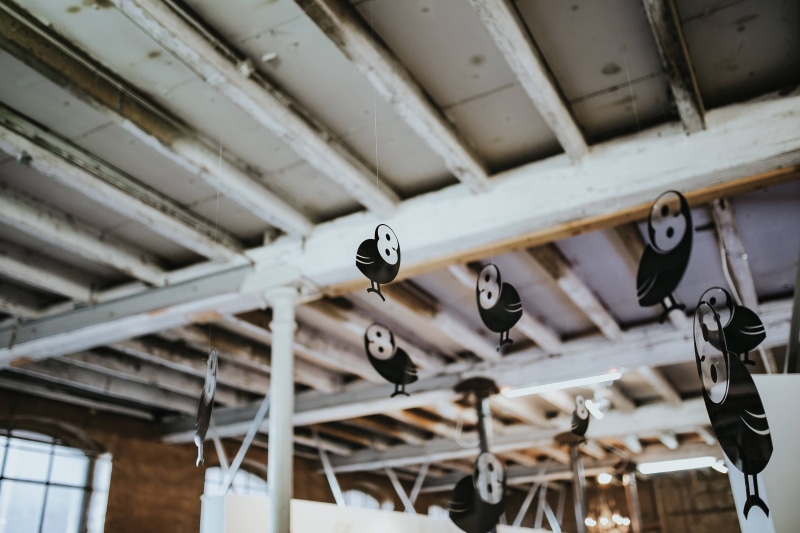 owls, hanging, electricity, ceiling fan, metal, birds, old, focus on foreground, architecture, Little black, fan, ceiling, plastic, built Structure, low angle view