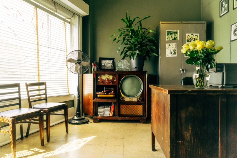 living room, fan, household equipment, beside, pedestal, visit, residential Building, nature, potted plant, retro styled, chair, vintage, homes, architecture And Buildings