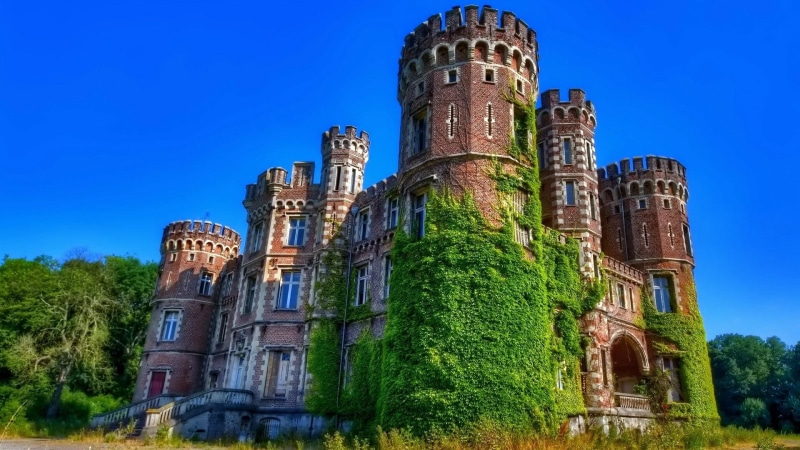 castle moulbaix, chateau, moulbaix castle, moulbaix, tree, medieval architecture, belgium, abandoned, mansion, historical, estate, sky, grass, 1080P, palace