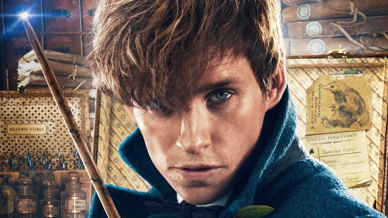 magic, Magical Congress of the United States of America, hd, magic wand, man, movie, Scamander, HP, ofiicial, mahou, USA, face, witch, Harry Potter