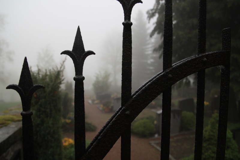 iron - metal, fantasy, day, nature, black color, iron gate, weird, death, gothic, mourning, followers, cemetery, architecture, fog, protection, mood, mystical