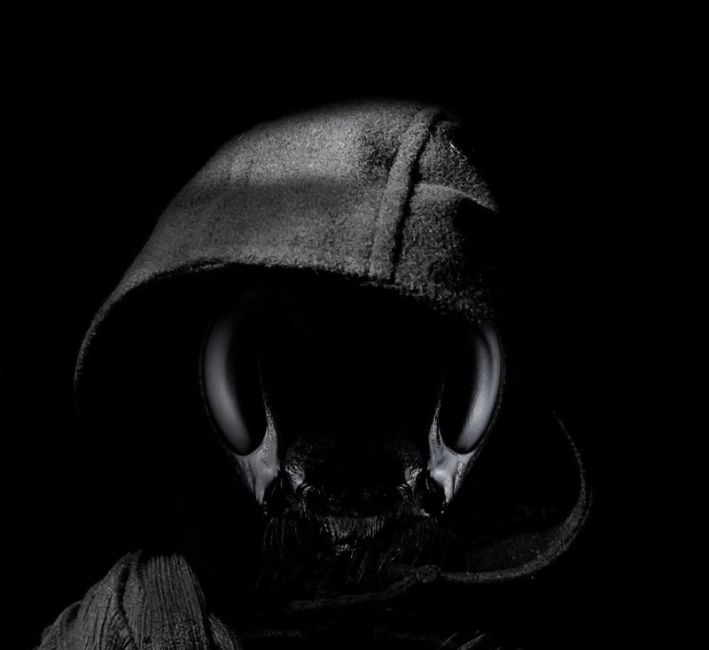dark, headshot, night, dangerous, helmet, weird, people, mystical, mouth open, photo montage, clothing, hood, human body part, portrait, aggression, studio shot