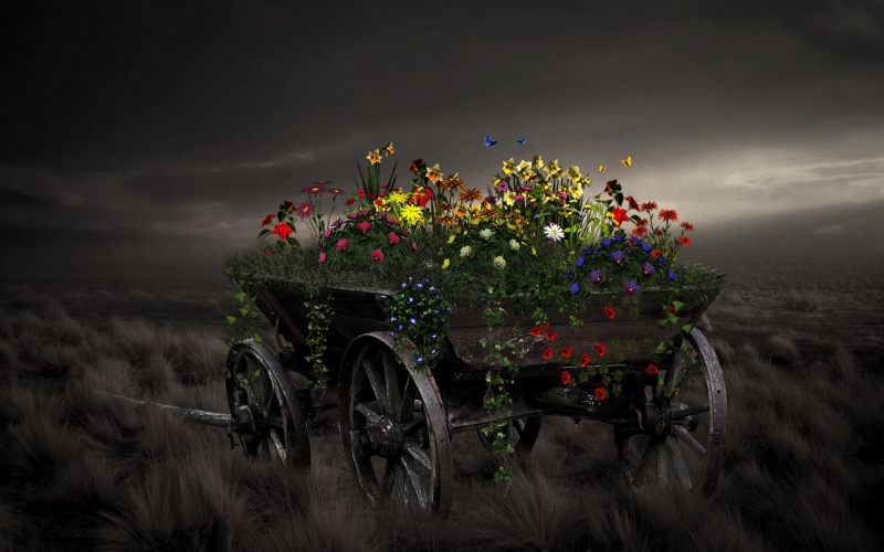 sky, 1080P, fields, moon, nature, art, grass, wheels, matte, landscapes, dark, artistic, plants, wagon, fantasy, color, vehicles, clouds, flowers, light