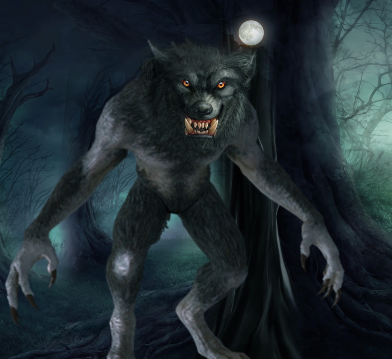 primate, furious, fear, halloween, indoors, digital composite, fantasy, art, Wolf, vertebrate, mouth open, monkey, danger, aggression, horror, anger, conflict
