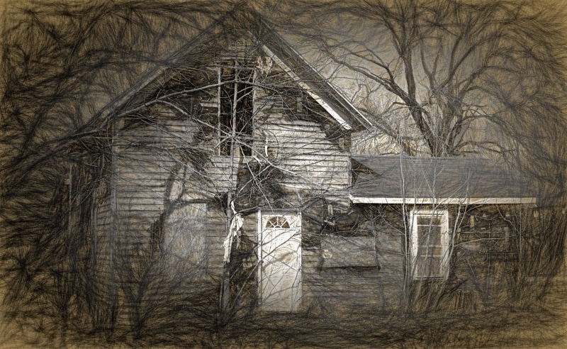 house, day, built structure, history, bare tree, low angle view, horror, tree, ghost, darkness, door, abandoned, black, damaged, closed, no people, haunted house