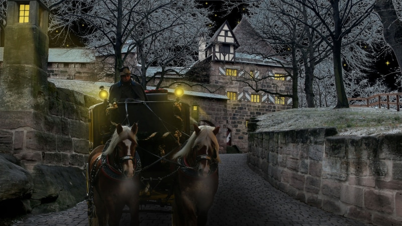 bran castle, nature, domestic, bare tree, transylvania, pets, architecture, domestic animals, outdoors, winter, tree, animal themes, dracula castle, winter night