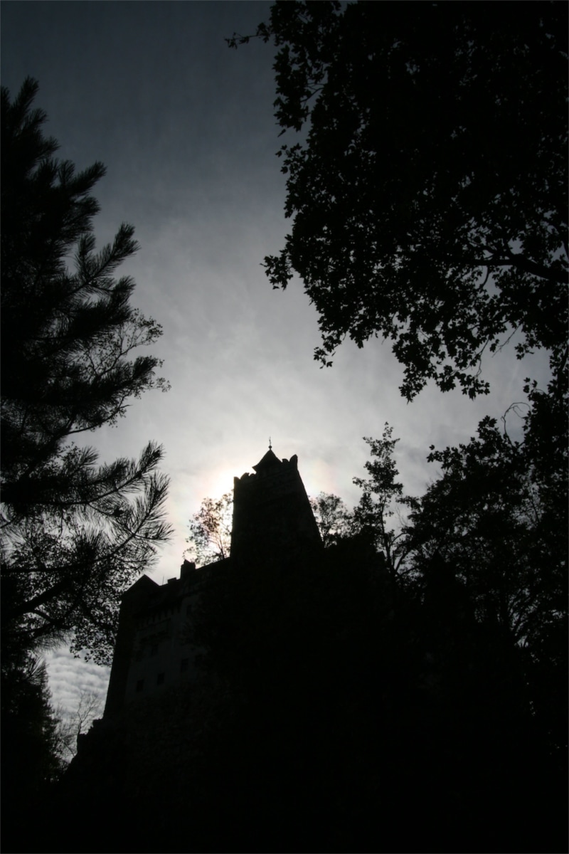 beautiful, history, nature, sky, no people, castle, the past, low, near, outdoors, silhouette, belief, tree, 4K, dark, ancient, plant, black And White
